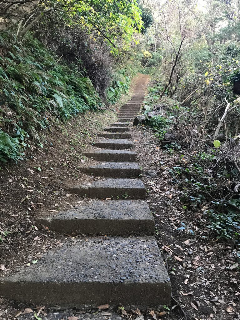 お遍路山道